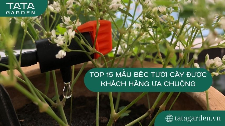 Top 15 mẫu Béc Tưới Cây được khách hàng ưa chuộng
