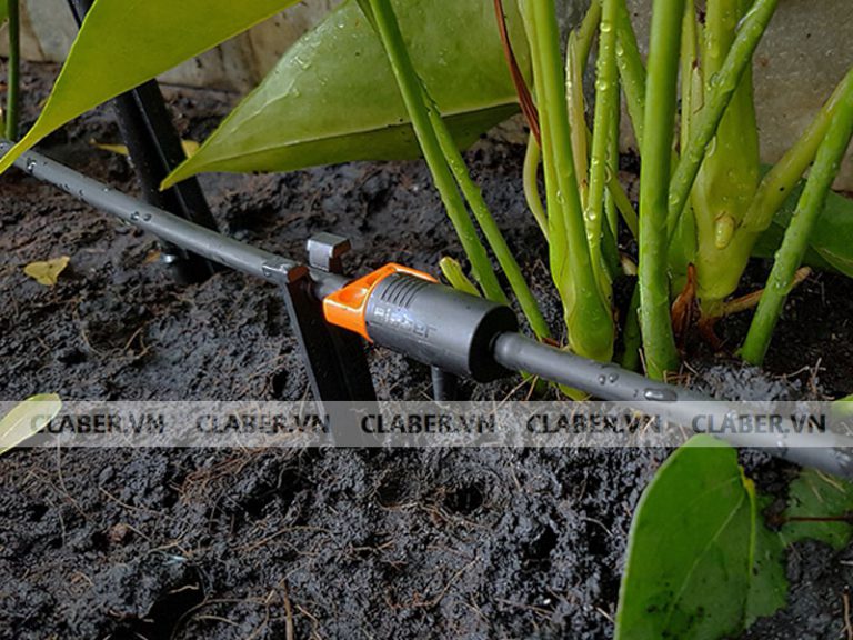 Vệ sinh thiết bị tưới cây với 5 bước siêu đơn giản