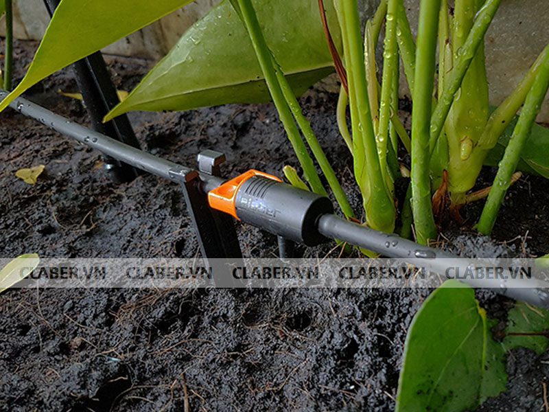 Vệ sinh thiết bị tưới cây với 5 bước siêu đơn giản