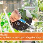 Hướng dẫn bạn cách làm hệ thống tưới nhỏ giọt bằng chai nhựa đơn giản