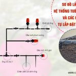 Sơ đồ lắp đặt hệ thống tưới nhỏ giọt và các bước tự lắp đặt tại nhà