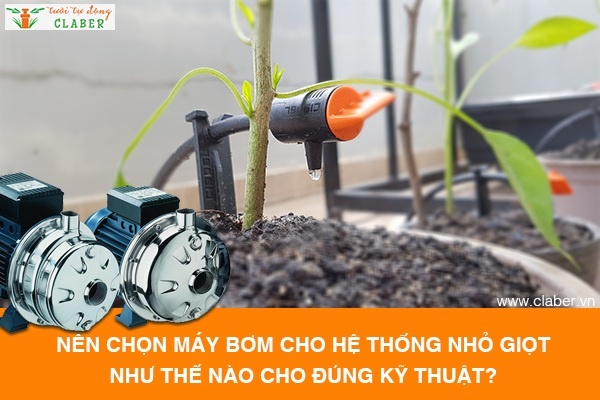 Nên chọn máy bơm cho hệ thống tưới nhỏ giọt như thế nào cho đúng kỹ thuật?