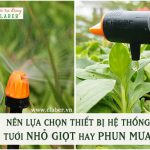 Nên lựa chọn thiết bị hệ thống tưới nhỏ giọt hay phun mưa?