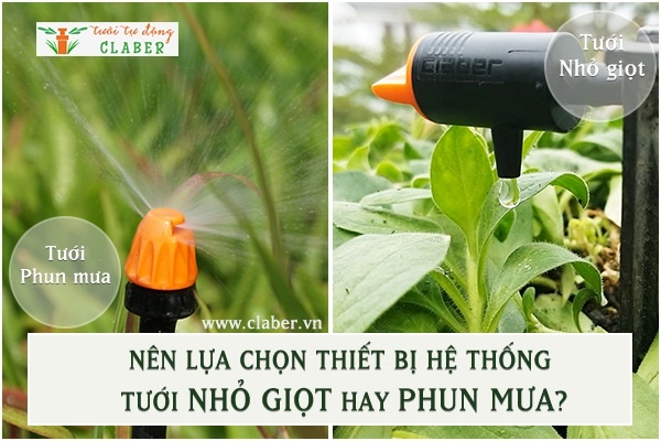 Nên lựa chọn thiết bị hệ thống tưới nhỏ giọt hay phun mưa?
