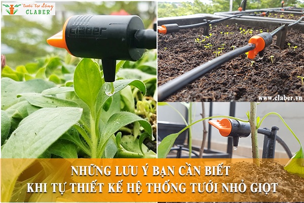 Những lưu ý mà bạn cần biết khi tự thiết kế hệ thống tưới nhỏ giọt