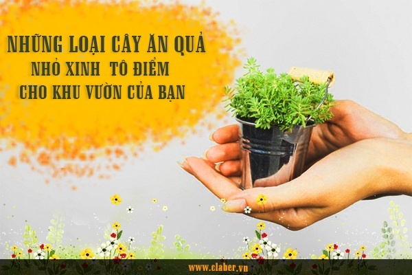 Những loại cây ăn quả nhỏ xinh tô điểm cho khu vườn của bạn