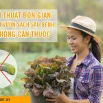 5 thủ thuật đơn giản cho khu vườn sạch sâu bệnh mà không cần thuốc