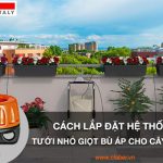 Cách lắp đặt hệ thống tưới nhỏ giọt bù áp cho cây trồng