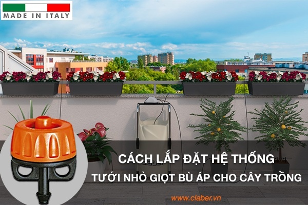 Cách lắp đặt hệ thống tưới nhỏ giọt bù áp cho cây trồng