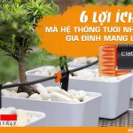 6 lợi ích mà hệ thống tưới nhỏ giọt gia đình mang lại