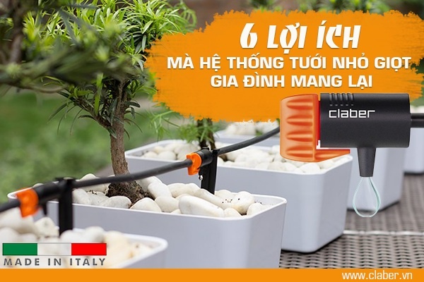 6 lợi ích mà hệ thống tưới nhỏ giọt gia đình mang lại
