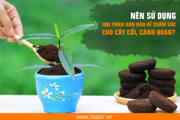 Nên sử dụng loại phân bón nào để chăm sóc cho cây cối, cảnh quan?