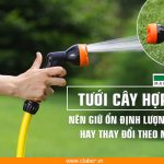 Tưới cây hợp lý: nên giữ ổn định lượng nước hay thay đổi theo mùa?