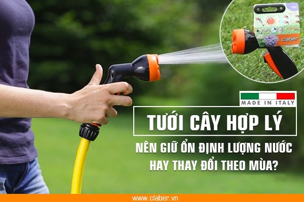 Tưới cây hợp lý: nên giữ ổn định lượng nước hay thay đổi theo mùa?