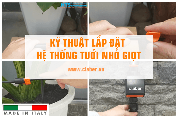 Áp dụng kỹ thuật lắp đặt hệ thống tưới nhỏ giọt thế nào đúng chuẩn?