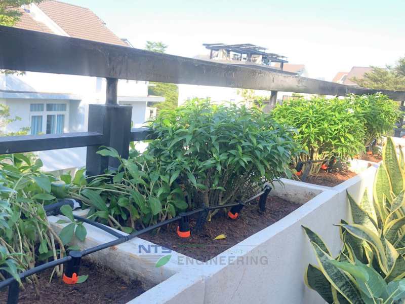 Cách khắc phục một số lỗi thường gặp trên mô hình hệ thống tưới nhỏ giọt