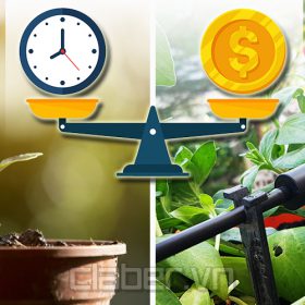 Có nên đầu tư hệ thống tưới nhỏ giọt? Những lợi và hại cần cân nhắc