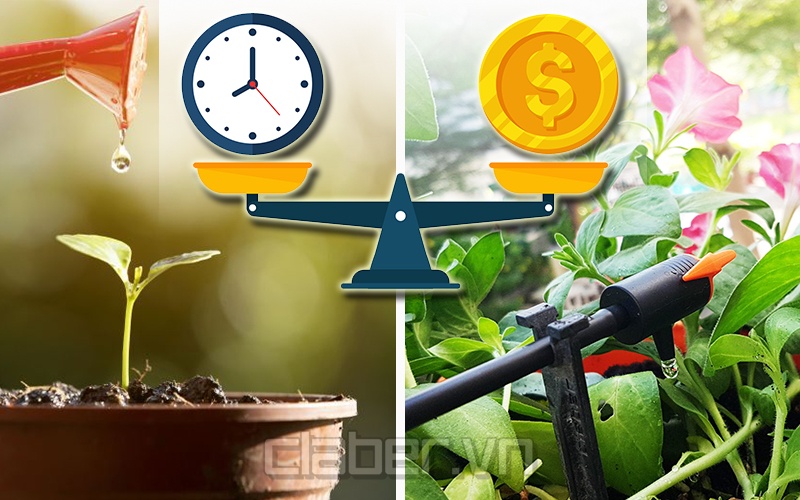 Có nên đầu tư hệ thống tưới nhỏ giọt? Những lợi và hại cần cân nhắc