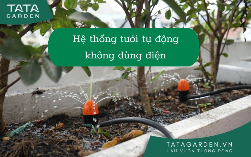 Hệ thống tưới tự động không dùng điện – cho vườn nhà an toàn