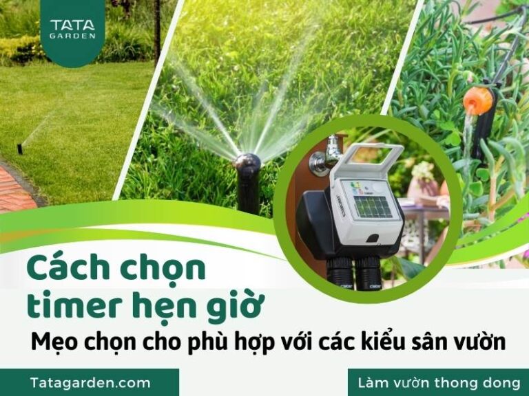 Cách chọn Timer hẹn giờ tưới cây cho hệ thống tưới phun mưa vườn nhà