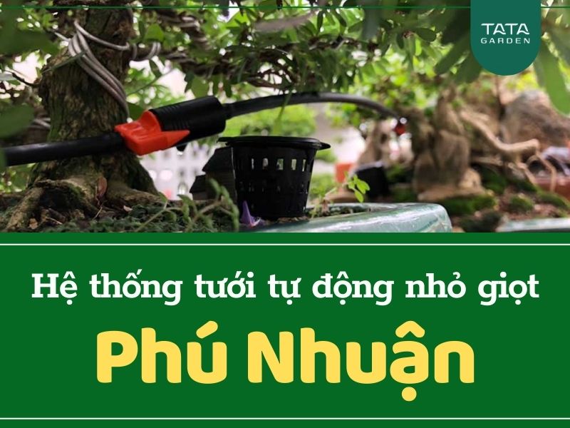 Hệ thống tưới nhỏ giọt nhà khách hàng tại Phú Nhuận