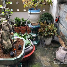 MỘT HỆ THỐNG TƯỚI NHỎ GIỌT TỰ ĐỘNG CẦN NHỮNG GÌ?