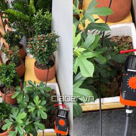 Top các Bộ hẹn giờ tưới cây bán chạy nhập khẩu Italy