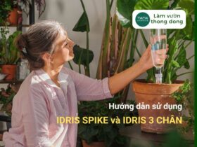 HDSD đầu cắm tưới nhỏ giọt IDRIS SPIKE và IDRIS 3 CHÂN