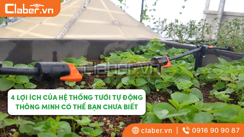 4 lợi ích của hệ thống tưới tự động thông minh có thể bạn chưa biết