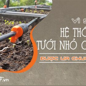 Vì sao hệ thống tưới nhỏ giọt lại được ưa chuộng?