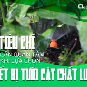 3 tiêu chí cần quan tâm khi lựa chọn thiết bị tưới cây chất lượng