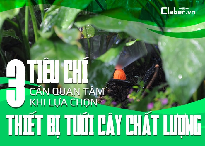 3 tiêu chí cần quan tâm khi lựa chọn thiết bị tưới cây chất lượng