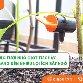 Hệ thống tưới nhỏ giọt tự chảy – Mới mẻ và mang đến nhiều lợi ích bất ngờ