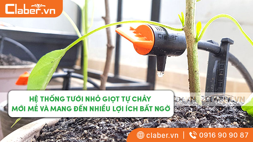 Hệ thống tưới nhỏ giọt tự chảy – Mới mẻ và mang đến nhiều lợi ích bất ngờ