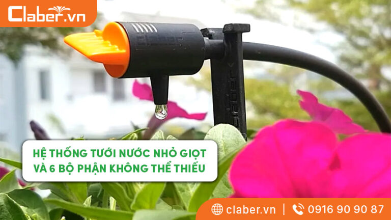 Hệ thống tưới nước nhỏ giọt và 6 bộ phận không thể thiếu