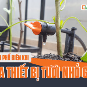 Sai lầm phổ biến khi mua thiết bị tưới nhỏ giọt mà rất nhiều người mắc phải