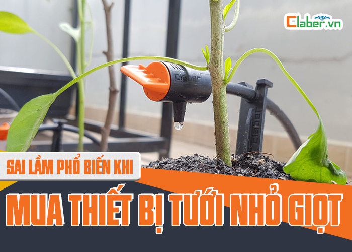 Sai lầm phổ biến khi mua thiết bị tưới nhỏ giọt mà rất nhiều người mắc phải