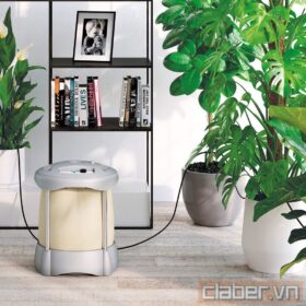 Tưới cây cảnh trong nhà