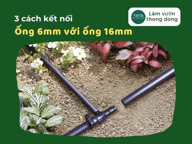 3 cách giảm từ ống 16mm xuống ống 6mm (Kết nối ống 6mm với ống 16mm)