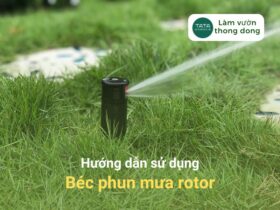 [HƯỚNG DẪN SỬ DỤNG] – BÉC TƯỚI PHUN MƯA ROTOR