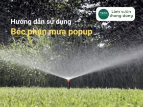 [HƯỚNG DẪN SỬ DỤNG] – BÉC TƯỚI PHUN MƯA POP-UP