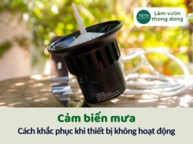 1 phút để đánh bay các vấn đê của cảm biến mưa