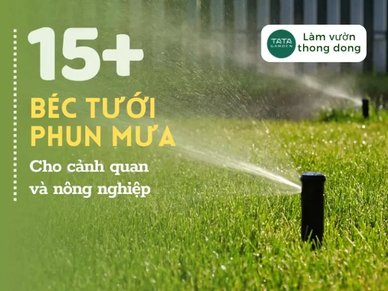 15+ béc phun mưa phổ biến trong tưới cảnh quan và nông nghiệp