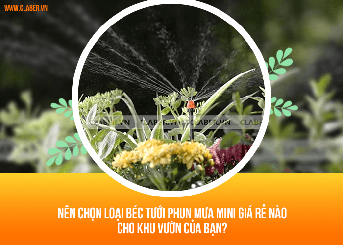 Nên chọn loại béc tưới phun mưa mini giá rẻ nào cho khu vườn của bạn?