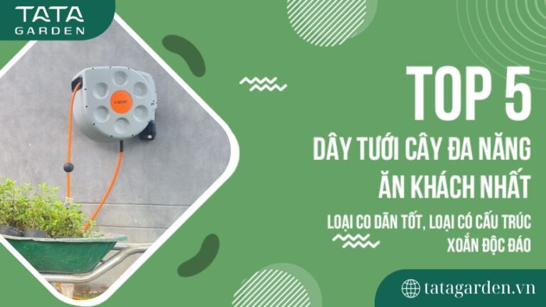 TOP 5 dây tưới cây đa năng ăn khách nhất: Loại tốt, bền và đẹp mắt