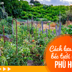 Cách lựa chọn béc tưới vườn phù hợp