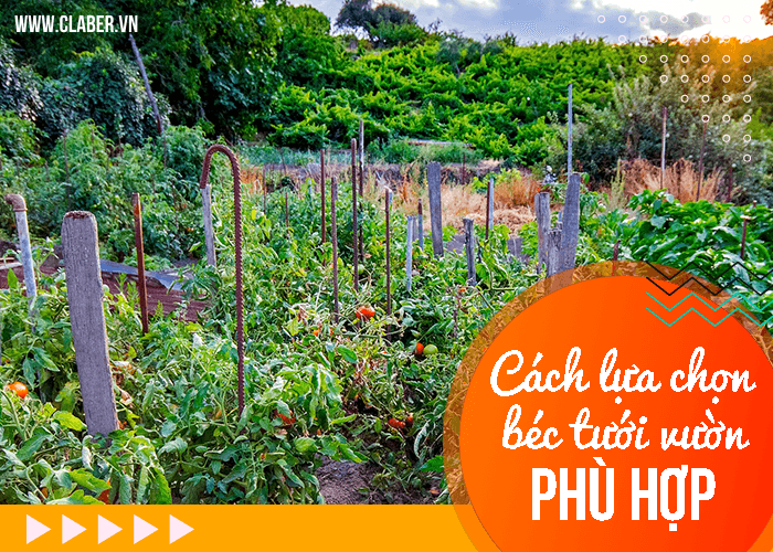 Cách lựa chọn béc tưới vườn phù hợp