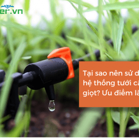 Tại sao nên sử dụng hệ thống tưới cây nhỏ giọt? Ưu điểm của hệ thống này là gì?