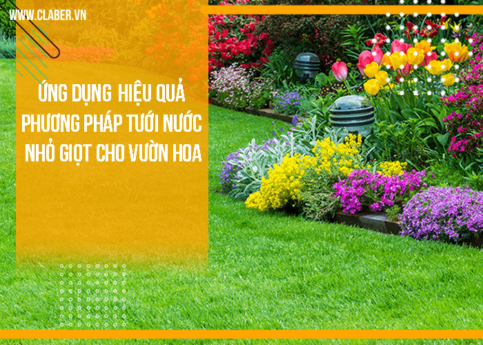 Ứng dụng hiệu quả phương pháp tưới nước nhỏ giọt cho vườn hoa