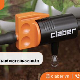5 lưu ý để bố trí đầu tưới nhỏ giọt đúng chuẩn cảnh quan quanh nhà